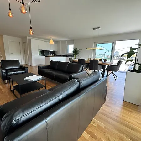 Moderne Am Neckar Mit Grosser Dachterrasse * Heilbronn