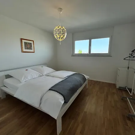 Moderne Am Neckar Mit Grosser Dachterrasse *