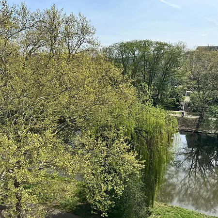 Moderne Am Neckar Mit Grosser Dachterrasse Heilbronn
